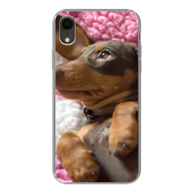 Produktbild von MuchoWow® Handyhülle Schutzhülle Hülle für iPhone XR Ein Dackelwelpe auf einer rosa Decke Silikon Softcase Handy Hülle - Schutzdeckel