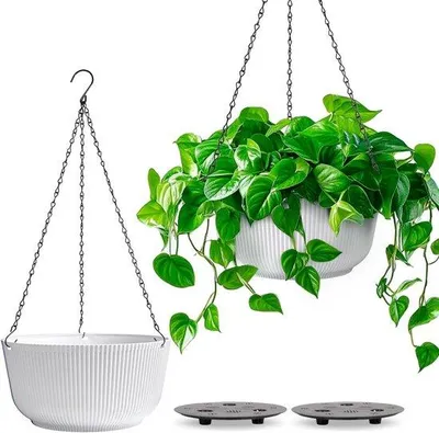 Image de Lot de 2 pots suspendus d'intérieur pour plantes, 22 cm, avec trou de drainage
