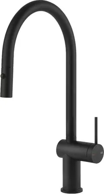 A black kitchen faucet against a white background.