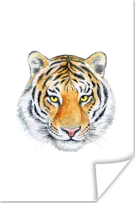 Produktbild von MuchoWow® Poster Tiger - Augen - Kopf 20x30 cm - Papierdruck
