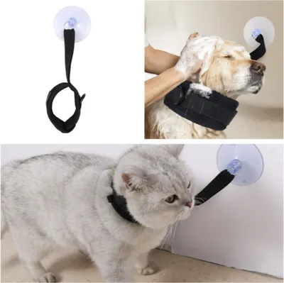 Immagine prodotto di INF Grande collare da bagno per animali domestici con ventose S
