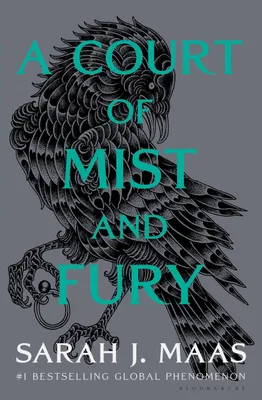 Produktbild von A Court of Mist and Fury