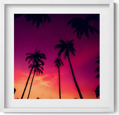 Produktbild von Palmen bei Sonnenuntergang– Wandbild mit Rahmen – Gerahmtes Bild  – Wanddekoration – 50x50 cm –  Weiß Rahmen