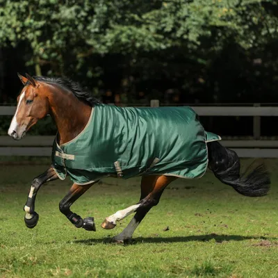Produktbild von BUCAS Freedom Turnout light 0g Weidedecke/Regendecke opal/taupe, Buc17_Gr.:145 cm