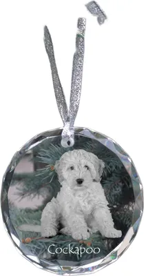 Obrázek produktu pro Kokršpaněl - křišťálová ozdoba s fotografií, fotografie psa v křišťálu, personalizovaná vánoční ozdoba značky Art-Dog