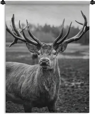Produktbild von MuchoWow® Wandteppich Wandbehang Tiere - Hirsch - Geweih - Schwarz und weiß - Natur 90x120 cm Tapisserie Dekoration Wandtuch - Wanddeko