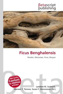 Produktbild von Ficus Benghalensis