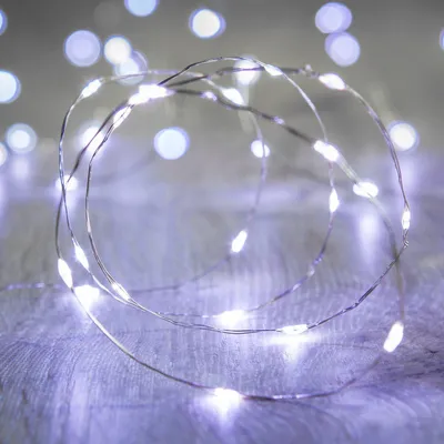 Immagine prodotto di Catene luminose a batteria con 20 micro-LED bianchi su filo argentato