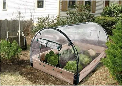 Image de Serre Potager Start Protection Optimale Semis Et Cultures - Start