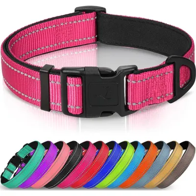 Produktbild von Hundehalsband Neopren Nylon Gepolstert Verstellbar Reflektierend L Hotpink