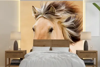 Produktbild von MuchoWow® Fototapete für Wohnzimmer oder Schlafzimmer Wandtapete Vinyl Motivtapete Pferde - Tiere - Mähne - Porträt - 220x220 cm - Tapeten