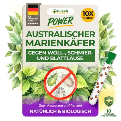 Produktbild von Australischer Marienkäfer gegen Schmierläuse und Wollläuse - 10 x 10 Nützlinge - Schmierläuse bekämpfen, Wollläuse bekämpfen, Mittel gegen Wollläuse