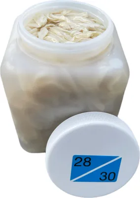 Produktbild von Schweinedarm Kaliber 28/30 - 91,4 Meter füllfertig in der  Dose 1A  | wurstmacher-shop