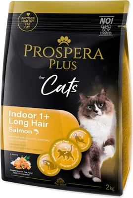 Image de Prospera Plus Indoor 1+ Lachs Longhair 2kg