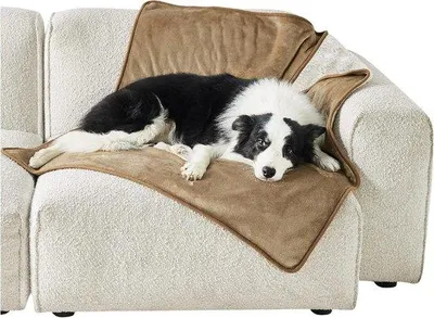 Produktbild von Hundedecke für große Hunde - 100 x 120 cm Outdoor Hundedecke Waschbare Hundedecke Sofa-Schutz aus Schafwollfleece