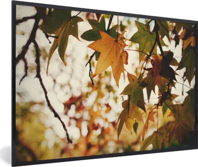 Produktbild von MuchoWow® Gerahmtes Poster Natur - Herbstlaub - Rustikal 30x20 cm - Poster mit Schwarzem Bilderrahmen Wandposter Rahmen Foto Bilder - Kunstdruck - Bild-Poster