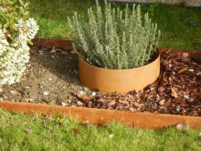 Produktbild von Rasenkanten Baumring Pflanzring Edelrost Metall Kreis Ø 37 cm x 24 cm Corten - 3er