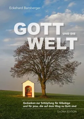 Produktbild von Gott und die Welt