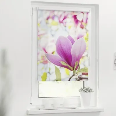 Obrázek produktu pro Roleta na okno Lichtblick bez vrtání Magnólie 45x150 cm včetně upínacích držáků