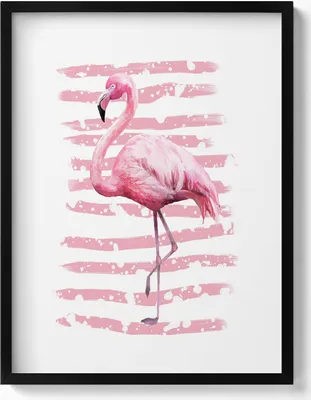 Produktbild von Flamingo– Wandbild mit Rahmen – Gerahmtes Bild  – Wanddekoration – 60x80 cm –  Schwarz Rahmen