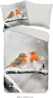 Produktbild von Duvet cover Good Morning 200x200 + 2* 80x80 cm - robin birds in the snow