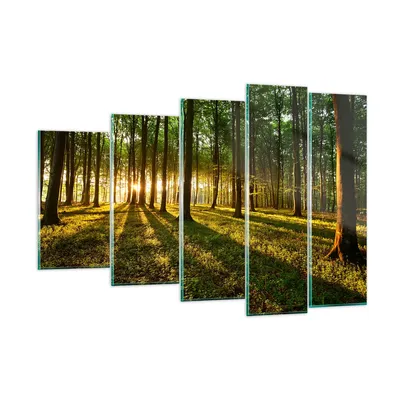 Produktbild von Bilder auf glas - Wald grün Sonnenstrahlen Natur - 150x100cm - Glasbilder - Wandbilder - Kunstdruck - zum Aufhängen bereit - Wanddekoration aus Glas - Glas Bilder - Wandbild auf Glas - GEG150x100-2510