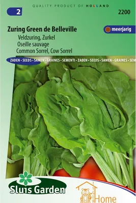 Produktbild von Sorrel Green de Belleville Samen - Mehrjähriger Sauerampfer für Salate und Suppen - Reich an Vitaminen und Mineralstoffen - Einfach anzubauen