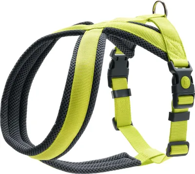 Produktbild von Hunter Geschirr London Comfort, Größe:XS-S, Farbe:limette