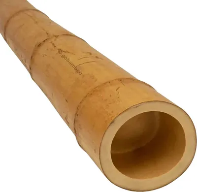 Produktbild von Bambusstange Moso Ø 13-14 cm x 200 cm