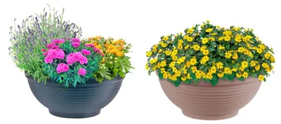 Produktbild von Pflanzschale Misa Blumenschale Pflanzkübel Blumentopf Blumenkübel Deko 40x17cm