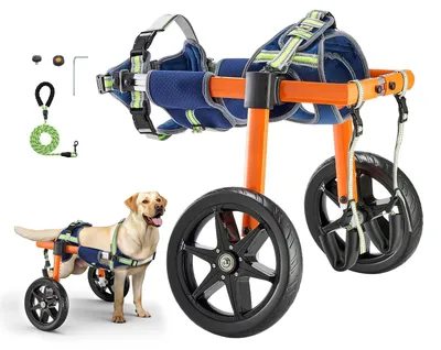 Produktbild von Hunderollstuhl für Hinterbeine - Gehhilfe für Hunde - Höhen-, Breiten- und Längenverstellbar - Stoßdämpfende Räder - Für verletzte und behinderte Hunde - 15,88–21,77 kg