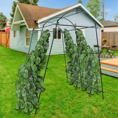 Imagen del producto de Arco para plantas trepadoras - 2,3 metros de altura - metal negro - estructura resistente para jardín y balcón