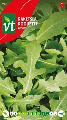 Produktbild von Rucola Pronto Samen - Ca. 2 gr | VT_967