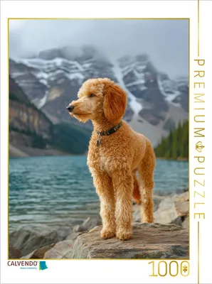 Produktbild von CALVENDO Puzzle Ich wollte ein Abenteuer und jetzt bin ich mittendrin | 1000 Teile Lege-Größe 64x48cm Foto-Puzzle für glückliche Stunden
