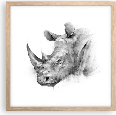 Produktbild von Gerahmtes Poster - Rahmen in heller Eiche - Nashorn Porträt Grafik - 40x40 cm - Wand Bild - Wanddeko - Wandbilder - Kunstposter - Wandposter - Bilderrahmen - Bilder - Kunstdruck - P2NAC40x40-4378