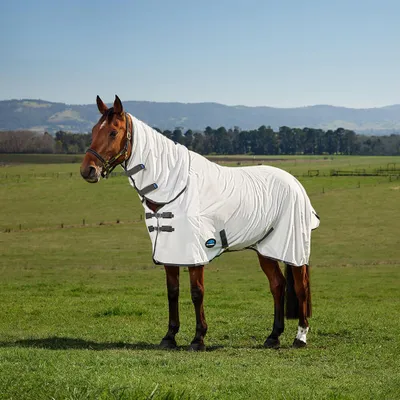 Produktbild von Weatherbeeta Fliegendecke in Größe 160 - Comfitec Tyro Fly Sheet Combo