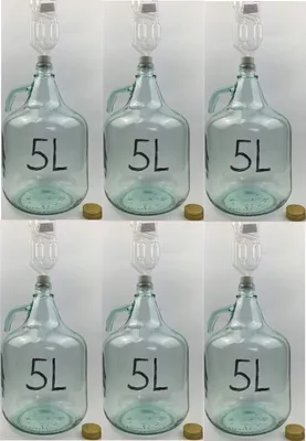 Produktbild von 6 x SET 5L Flasche + Stopfen + Gärröhrchen Weinballon