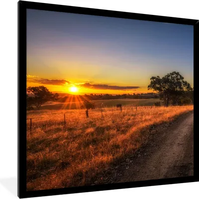 Produktbild von MuchoWow® Gerahmtes Poster Sonne - Gras - Baum - Natur 40x40 cm - Poster mit Schwarzem Bilderrahmen Wandposter Rahmen Foto Bilder - Mit Rahmen - Wanddekoration Schlafzimmer