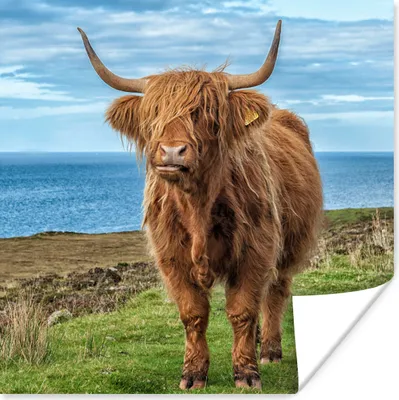 Produktbild von MuchoWow® Poster Schottische Highlander - Wolken - Landschaft 75x75 cm - Wand Dekoration