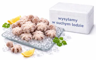 Produktbild von Oktopus Baby 10/40 800g - Krymar
