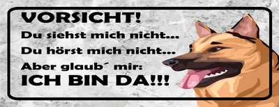 Produktbild von vianmo Holzschild 10x27 cm Vorsicht Hund Du siehst mich nicht