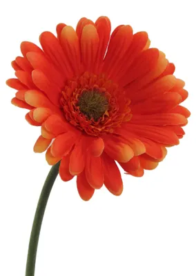 Produktbild von Kunstblume GERBERA 50cm ORANGE
