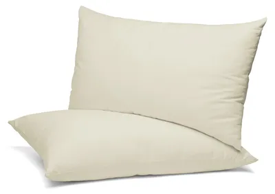 Produktbild von Beautex 2er Set Kissenbezug, Kissenhülle aus Baumwolle, Premium Jersey 160g/m²,Elfenbein,40x80cm