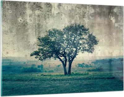 Produktbild von Bilder auf glas - Baum Natur Feld - 120x80cm - Glasbilder - Wandbilder - Kunstdruck - zum Aufhängen bereit - Wanddekoration aus Glas - Glas Bilder - Wandbild auf Glas - Einteilig - GAA120x80-3627