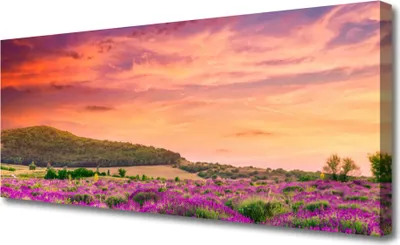 Produktbild von Tulup Leinwand-Bilder 125x50 Wandbild Canvas Kunstdruck Wiese Blumen Landschaft