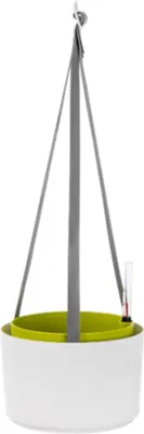 Produktbild von Hängeampel Berberis 26 cm weiß/grün mit Bewässerung