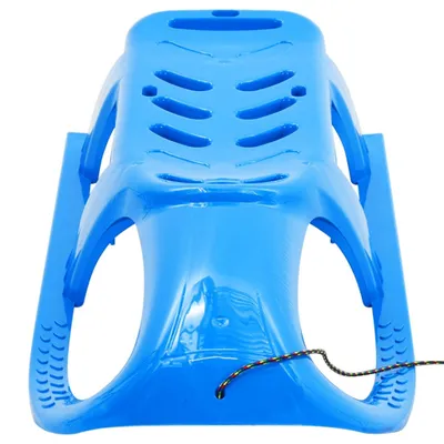 Produktbild von vidaXL Schlitten für Kinder Blau 102,5x40x23 cm Polypropylen