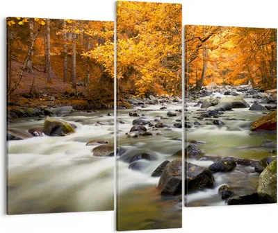Produktbild von Bild auf Leinwand - Leinwandbild - Stream Herbst Forrest Berg - 95x80cm - Wand Bild - Wanddeko - Leinwanddruck - Bilder - Kunstdruck - Wanddekoration - Leinwand bilder - Wandkunst - CB95x80-2703