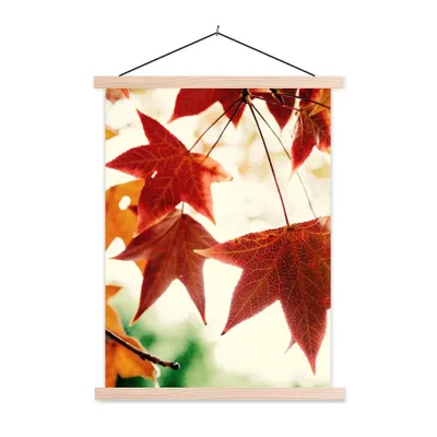 Produktbild von MuchoWow® Textilposter Herbstblätter - November - Natur - Bäume 120x160 cm mit holzfarbenen Rahmen - Plakatkarton