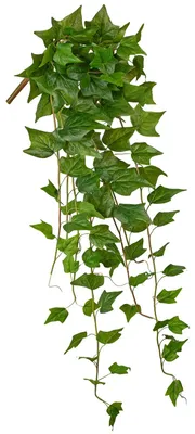 Image de Lierre artificiel suspendu – vrilles de lierre artificielles d'aspect naturel, env. 122 cm, plante décorative pour les murs, le salon, les balcons et autres pièces.